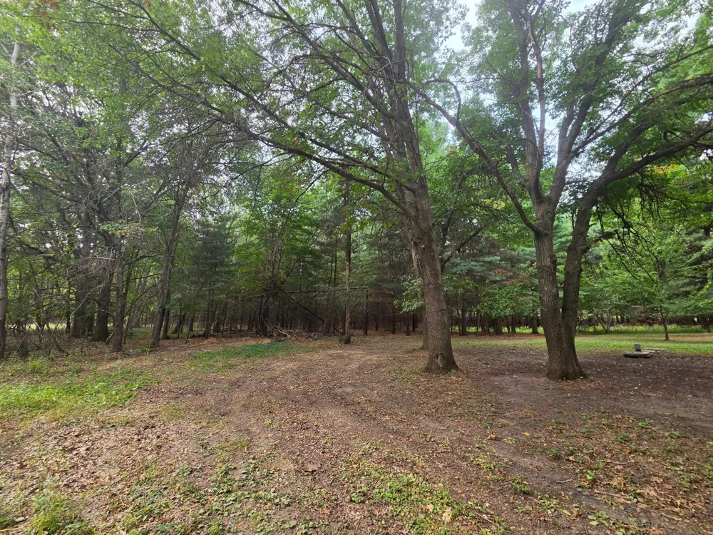 7220 237th Avenue NE Stacy, MN 55079