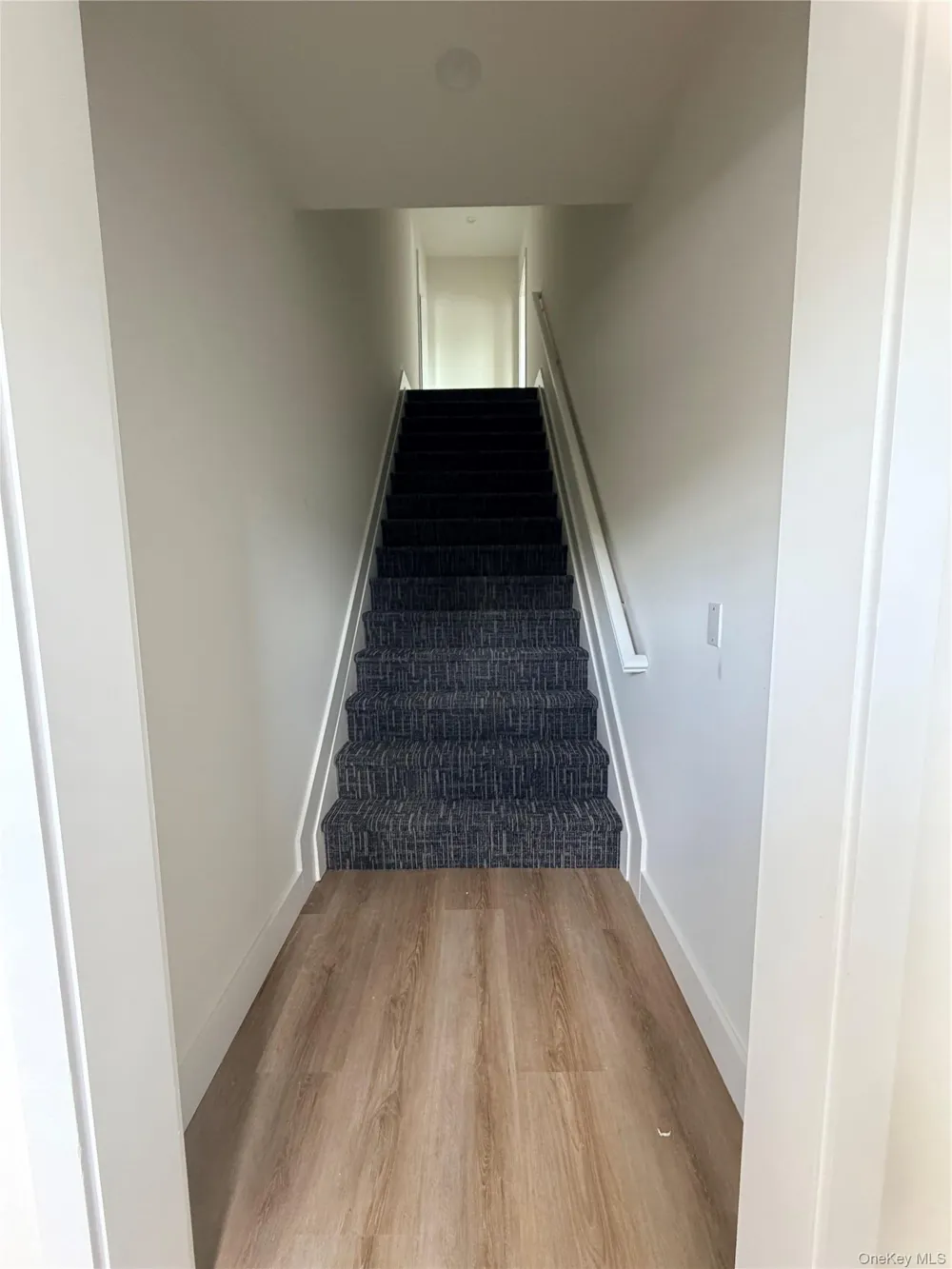 1220 Doges Prom #1B Copiague, NY 11757