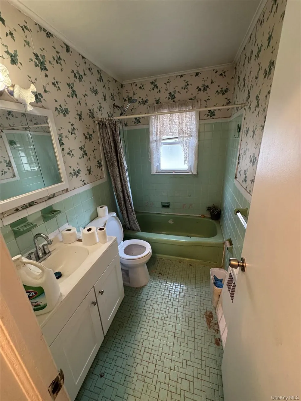 283 Doherty Avenue Elmont, NY 11003