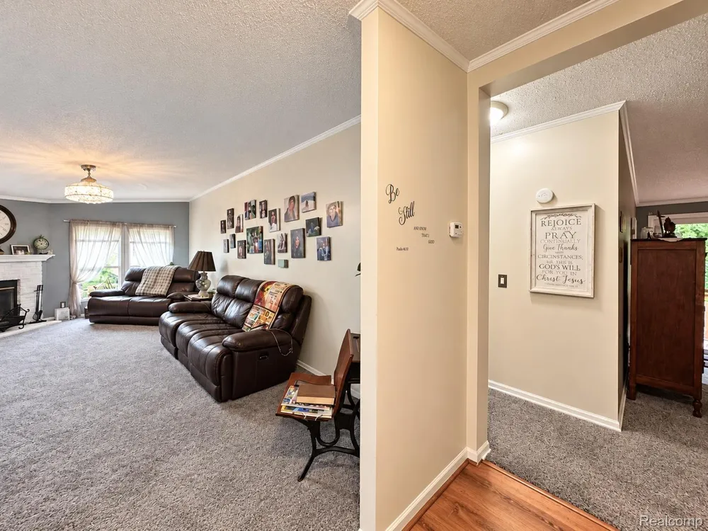 30007 Meadow Gibraltar City, MI 48173