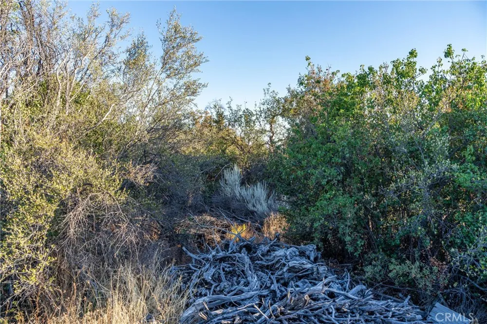31298 Chihuahua Valley Road Warner Springs, CA 92086