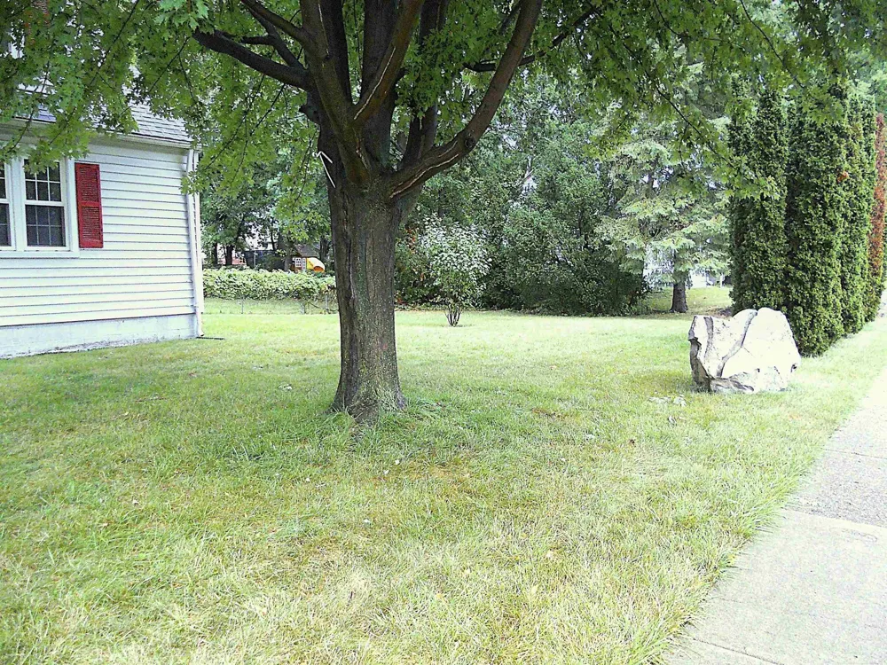 8239 Garbor Drive Warren City, MI 48093