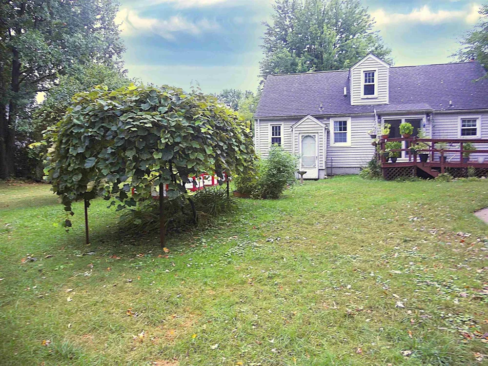 8239 Garbor Drive Warren City, MI 48093