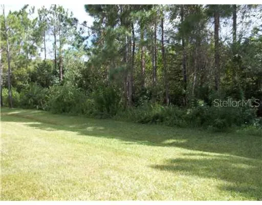 11112 WINDSOR PLACE CIRCLE Tampa, FL 33626