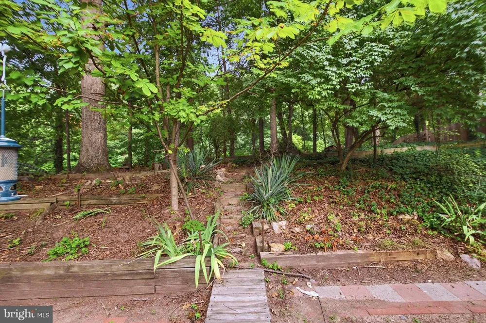 8804 STRAUSE COURT Springfield, VA 22153