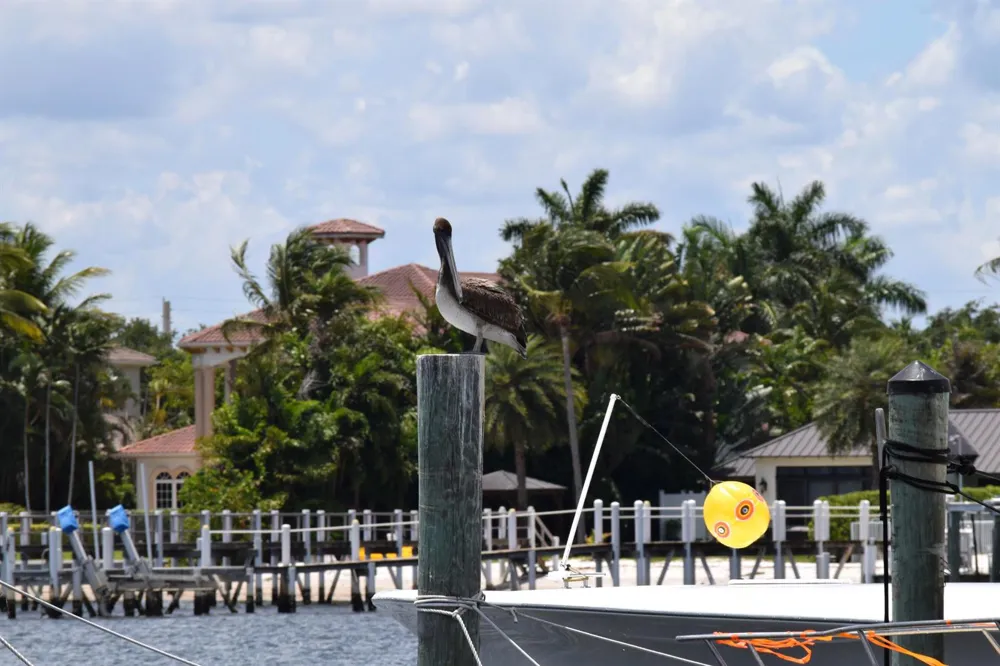 4500 S Ocean Boulevard #309 South Palm Beach, FL 33480