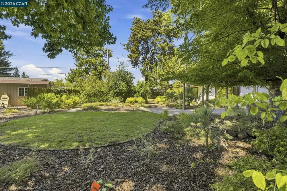 2737 San Antonio Dr Walnut Creek, CA 94598