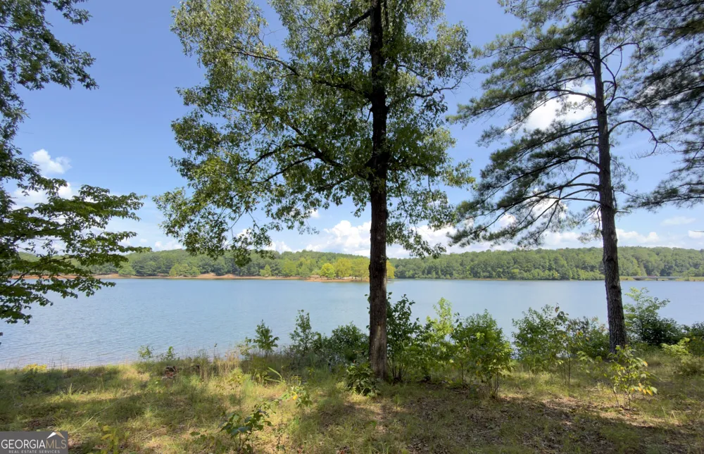 12609 Old Well CT Hampton, GA 30228