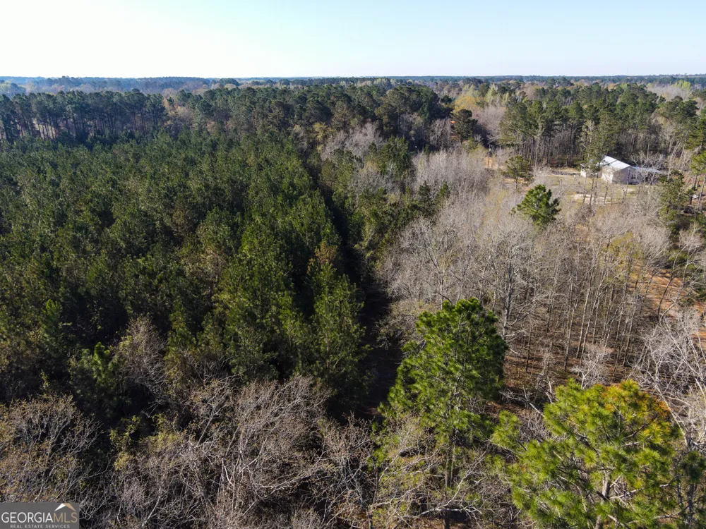 0 Clifton Road Statesboro, GA 30458