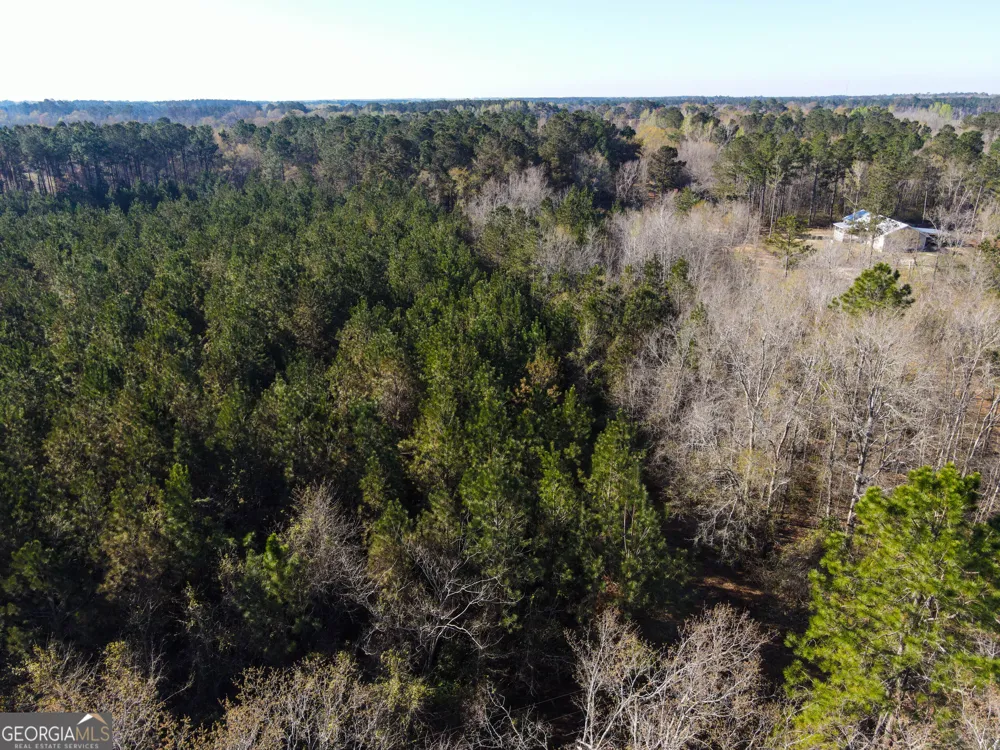 0 Clifton Road Statesboro, GA 30458