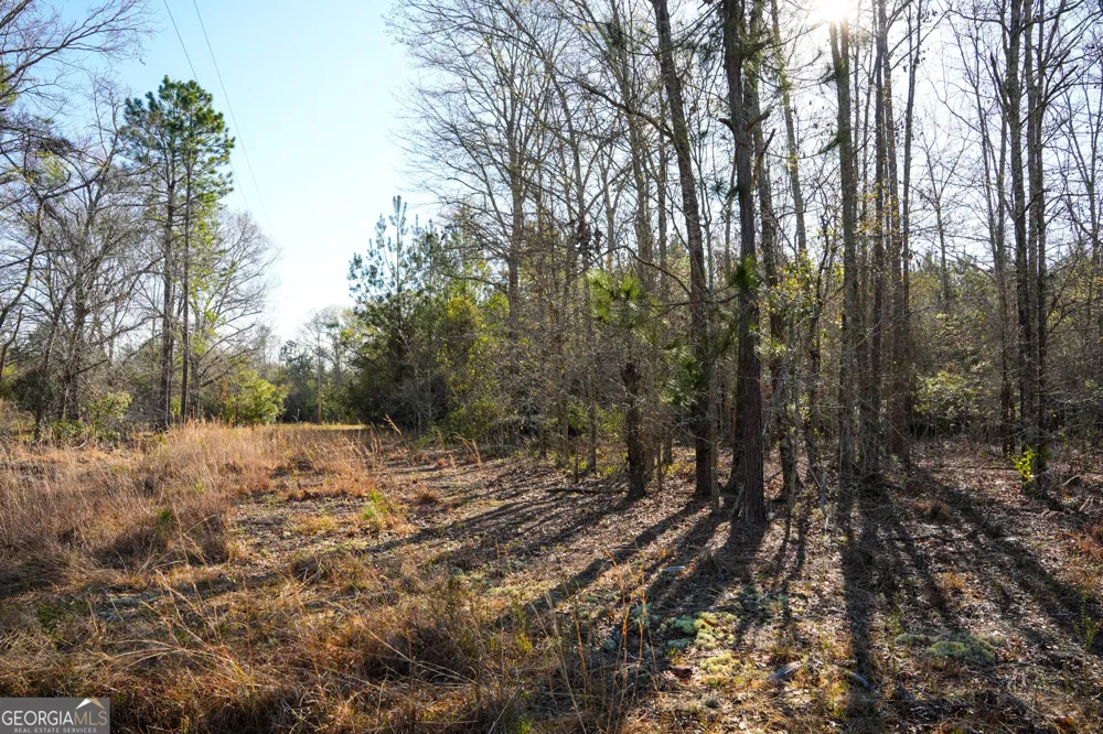 0 Clifton Road Statesboro, GA 30458