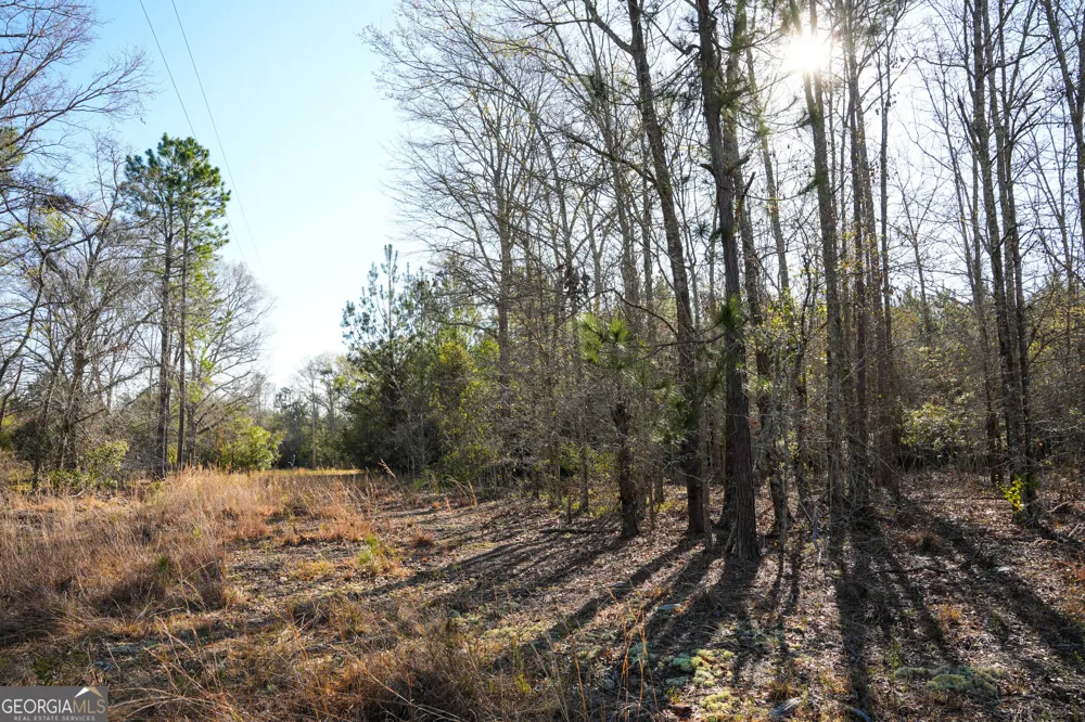 0 Clifton Road Statesboro, GA 30458