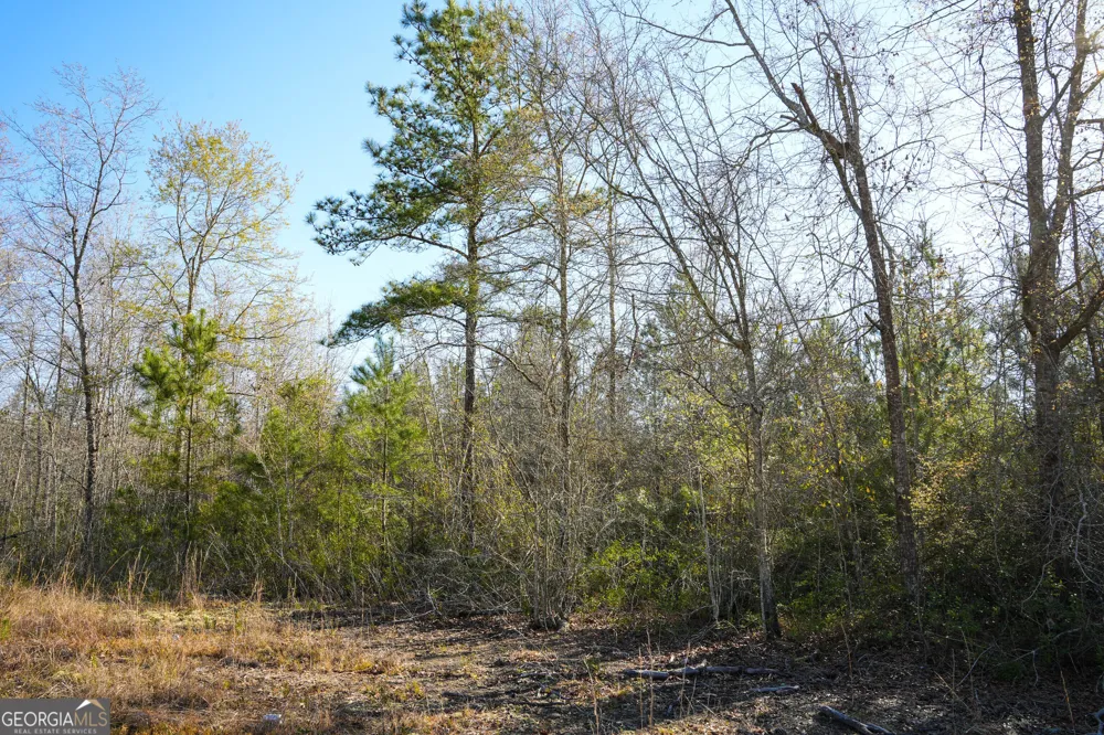 0 Clifton Road Statesboro, GA 30458