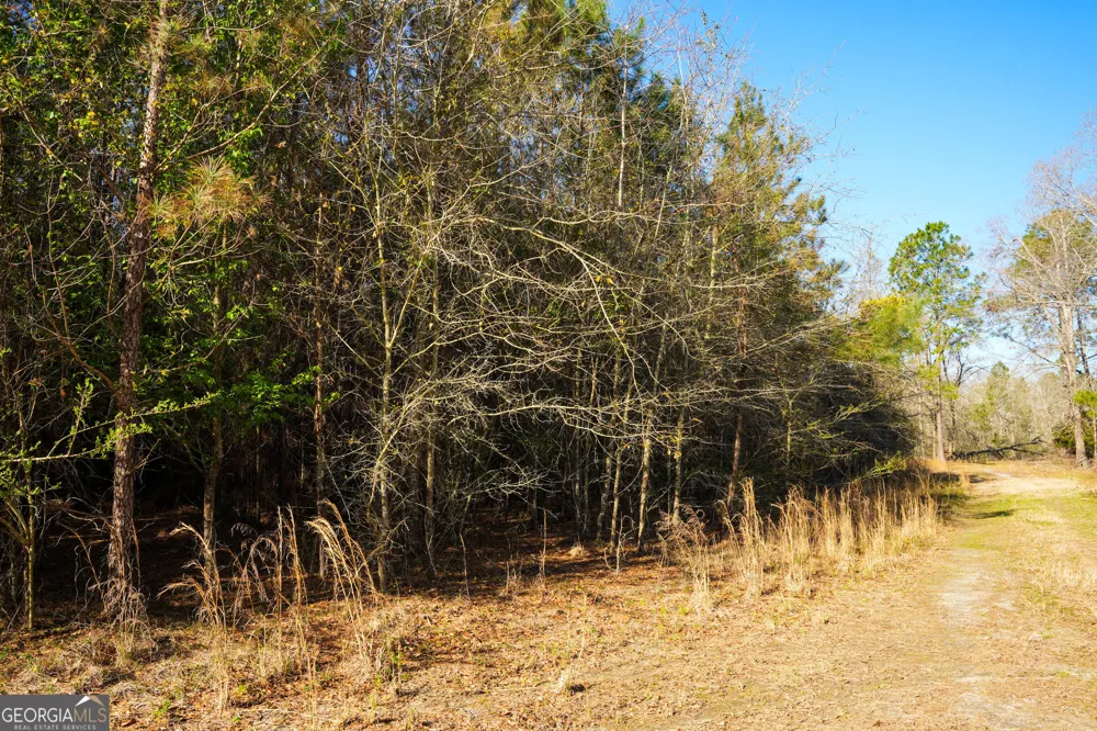 0 Clifton Road Statesboro, GA 30458