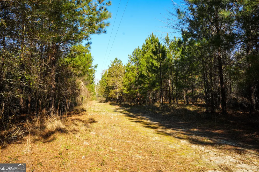 0 Clifton Road Statesboro, GA 30458