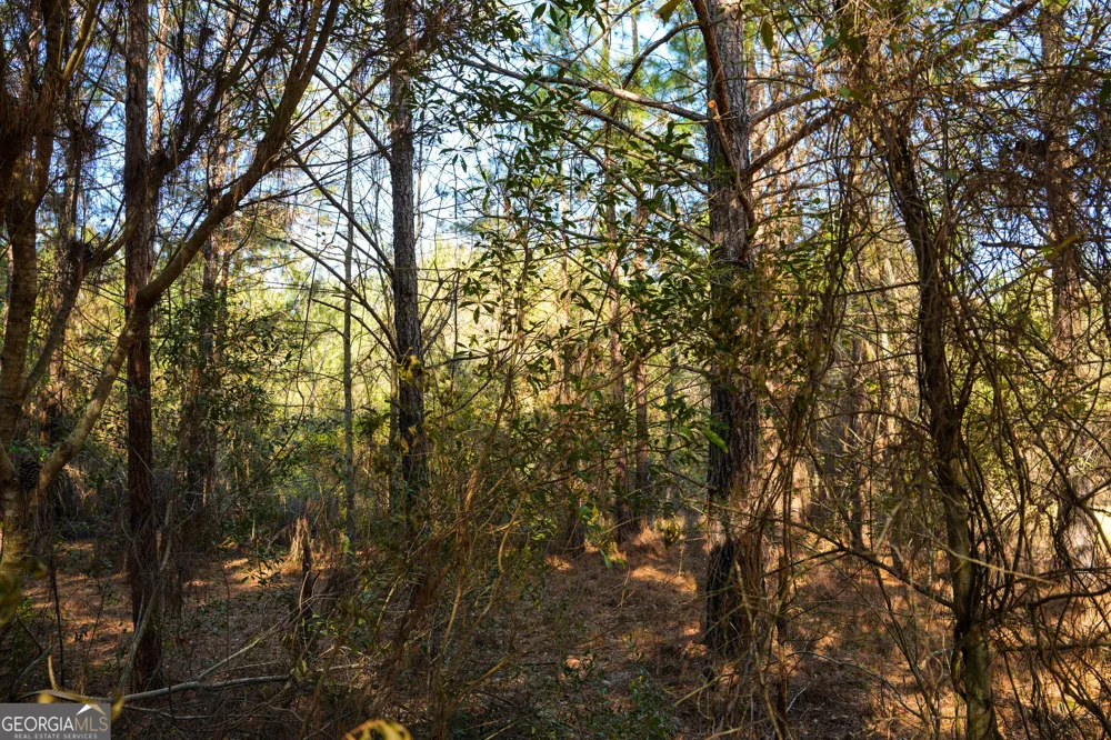 0 Clifton Road Statesboro, GA 30458