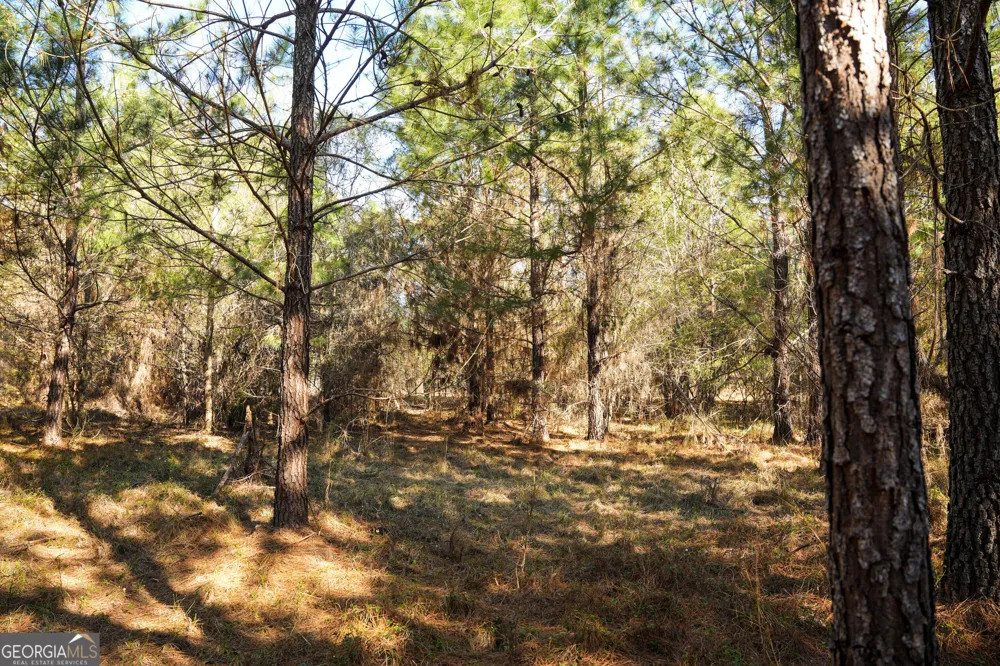 0 Clifton Road Statesboro, GA 30458