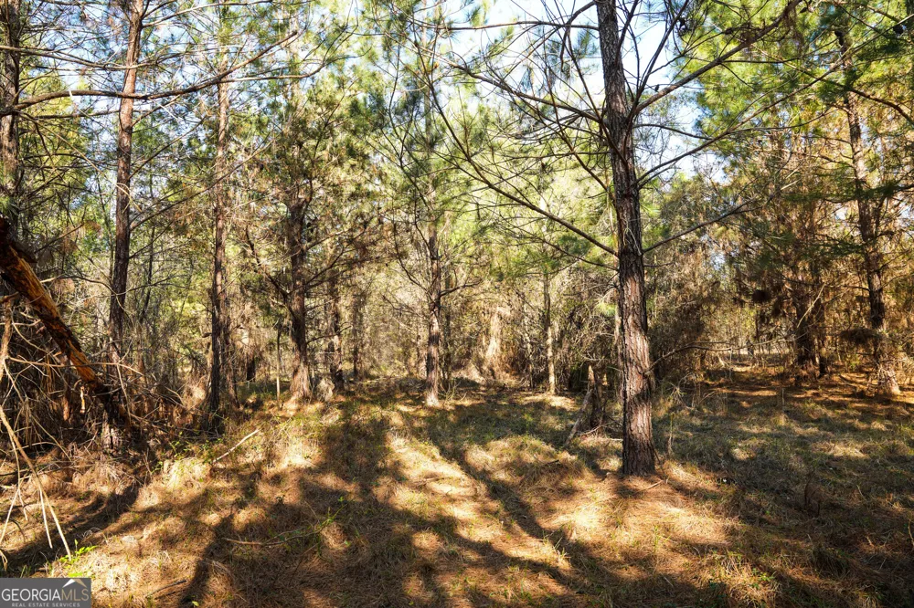 0 Clifton Road Statesboro, GA 30458