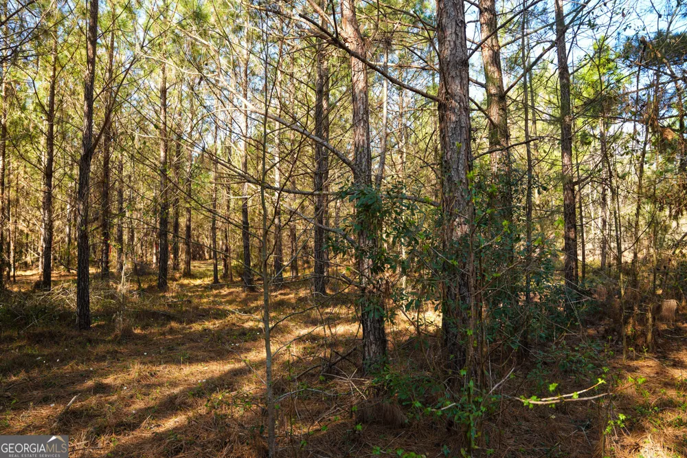 0 Clifton Road Statesboro, GA 30458