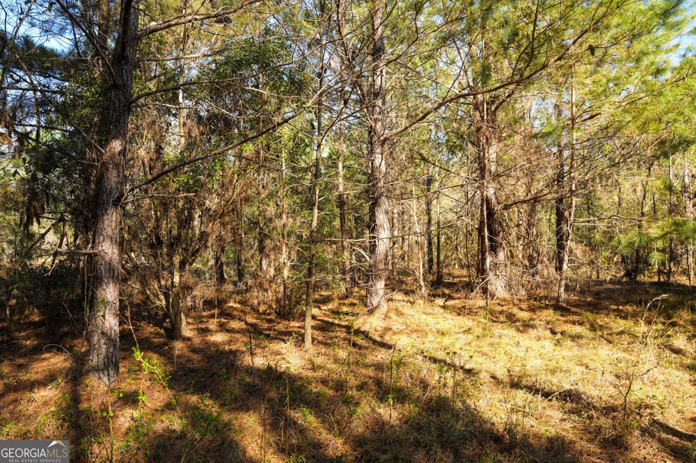 0 Clifton Road Statesboro, GA 30458