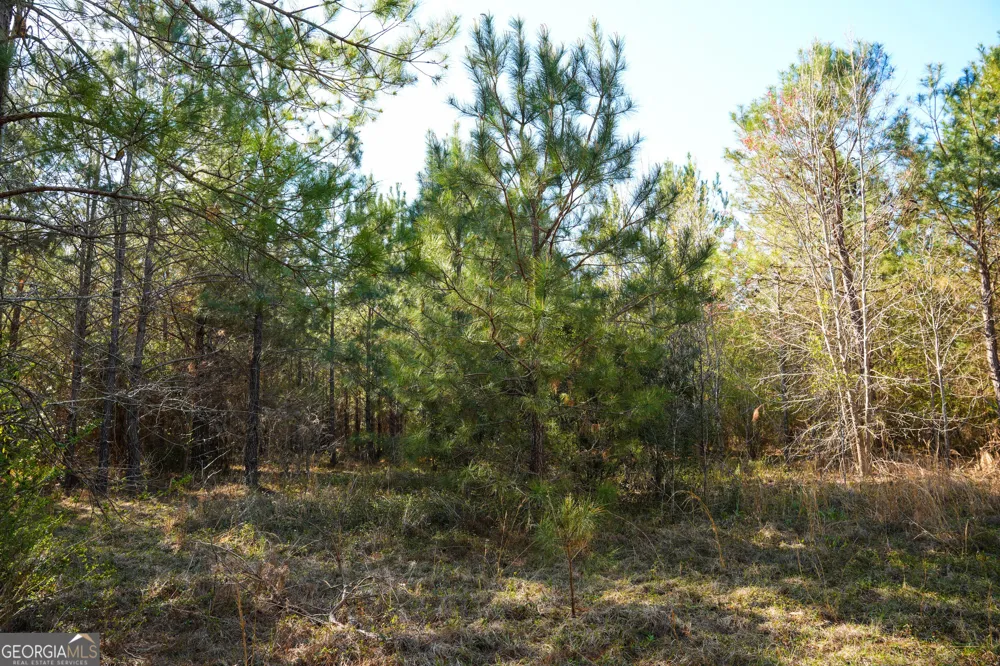 0 Clifton Road Statesboro, GA 30458