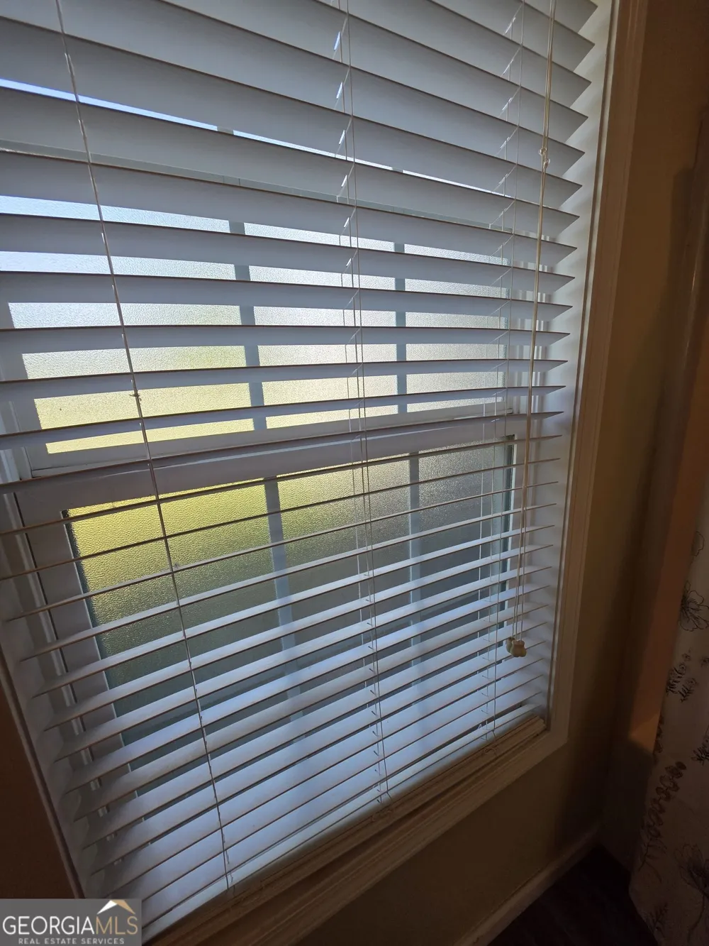 294 Lakeside CIR Baxley, GA 31513