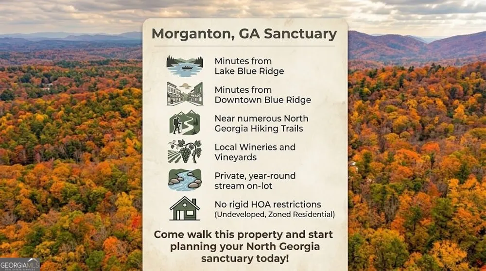 5 Goldmine RD Morganton, GA 30560