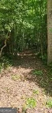 5 Goldmine RD Morganton, GA 30560