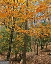 5 Goldmine RD Morganton, GA 30560