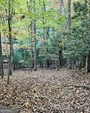 5 Goldmine RD Morganton, GA 30560