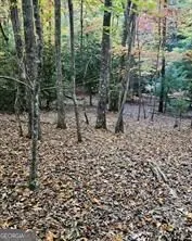 5 Goldmine RD Morganton, GA 30560