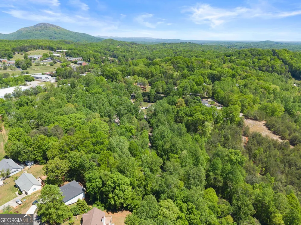 162 Greenview CT Cleveland, GA 30528