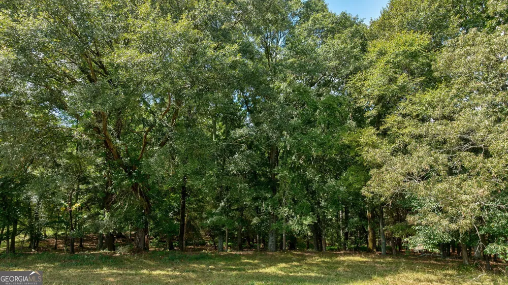 1160 Middlebrooks RD Watkinsville, GA 30677