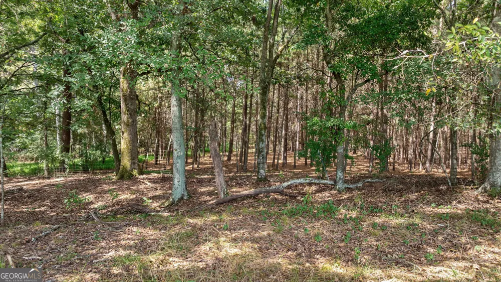 1160 Middlebrooks RD Watkinsville, GA 30677