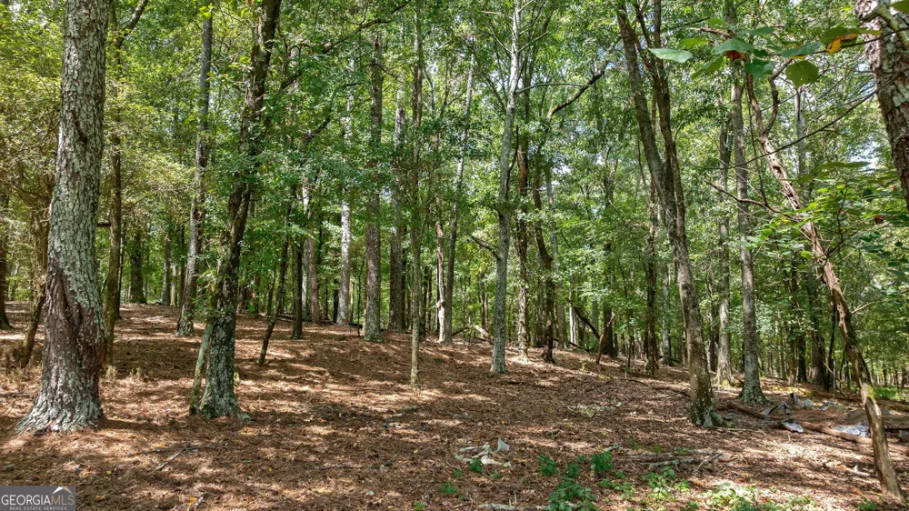 1160 Middlebrooks RD Watkinsville, GA 30677