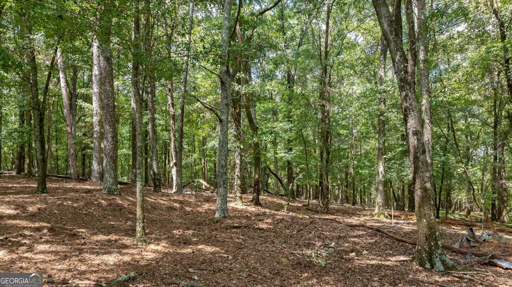 1160 Middlebrooks RD Watkinsville, GA 30677