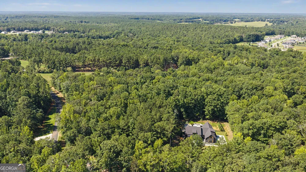 180 Lawshe Farm DR Senoia, GA 30276