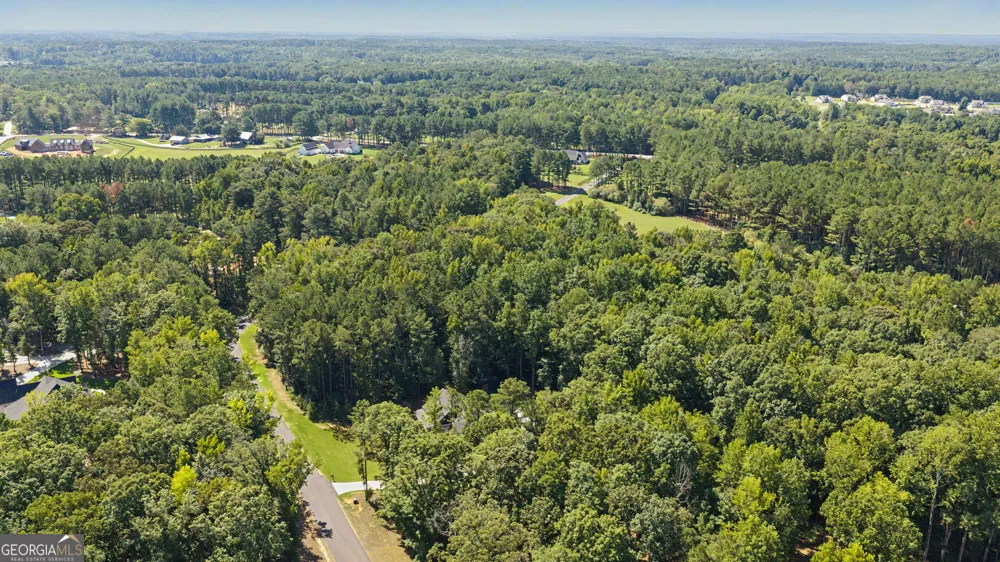 180 Lawshe Farm DR Senoia, GA 30276