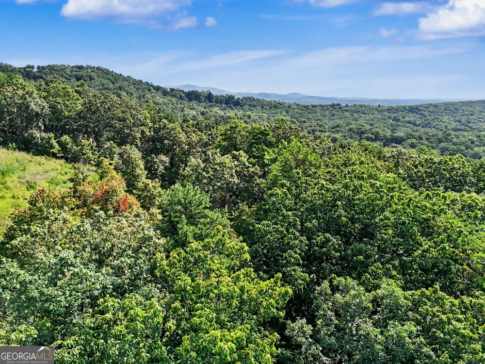 0 Piedmont Mountain RD Clarkesville, GA 30523