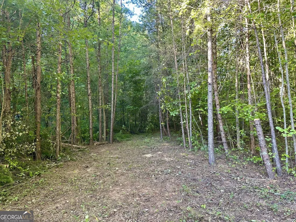 0 Piedmont Mountain RD Clarkesville, GA 30523