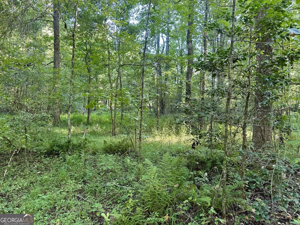 0 Piedmont Mountain RD Clarkesville, GA 30523