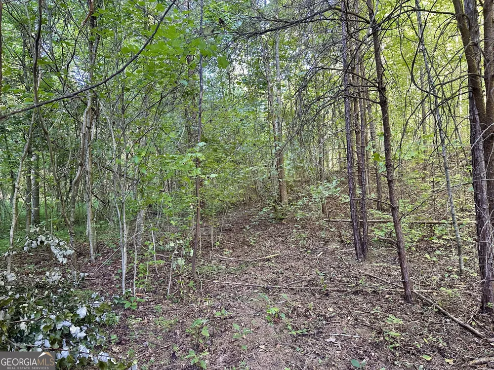 0 Piedmont Mountain RD Clarkesville, GA 30523