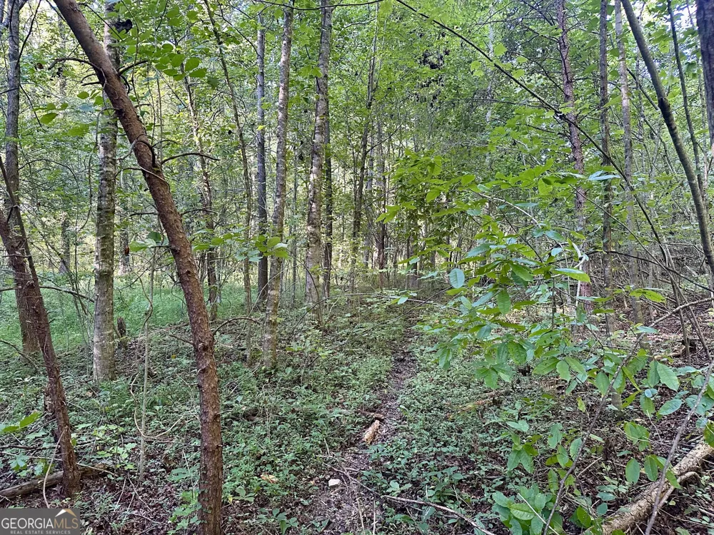 0 Piedmont Mountain RD Clarkesville, GA 30523