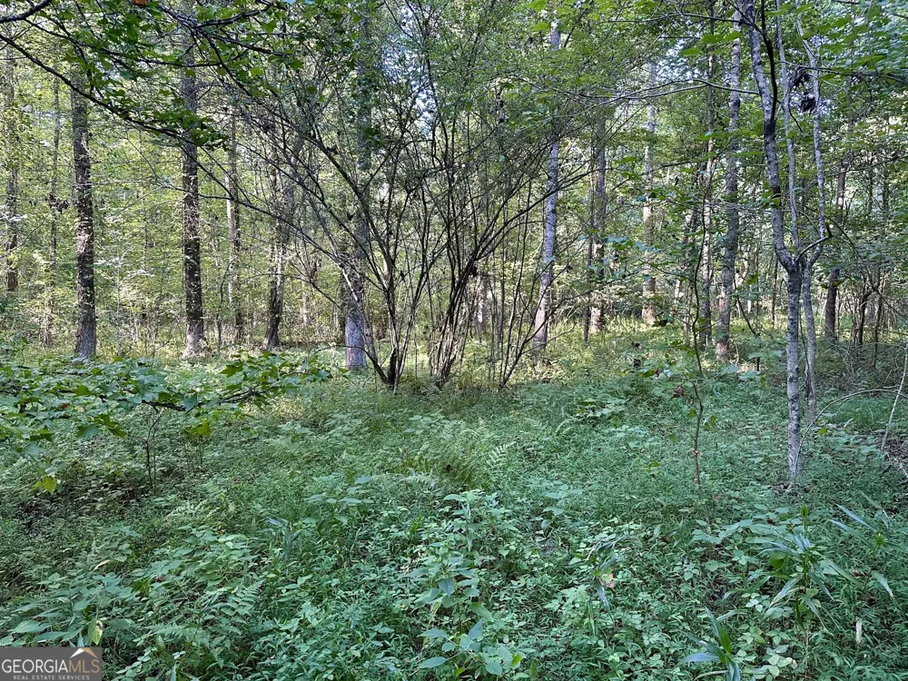 0 Piedmont Mountain RD Clarkesville, GA 30523