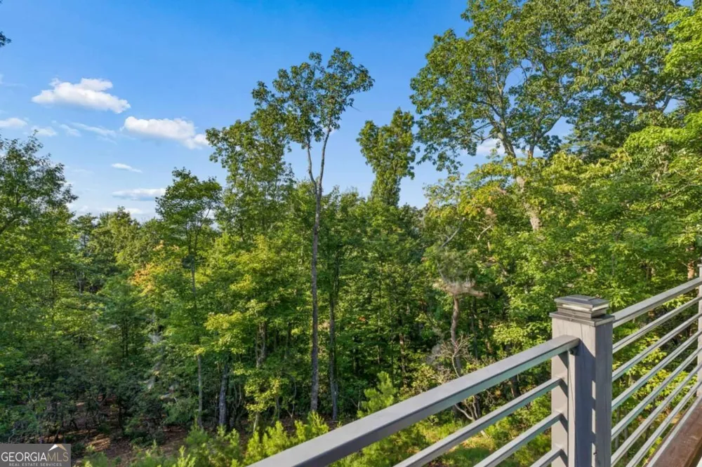 252 Wild Turkey BLFS Jasper, GA 30143