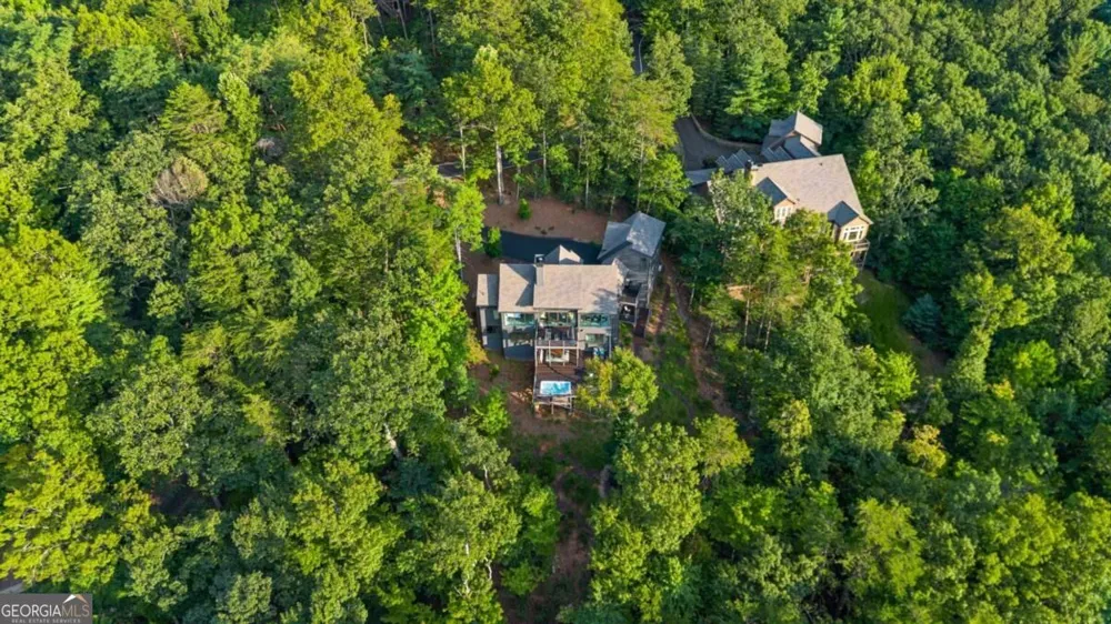 252 Wild Turkey BLFS Jasper, GA 30143