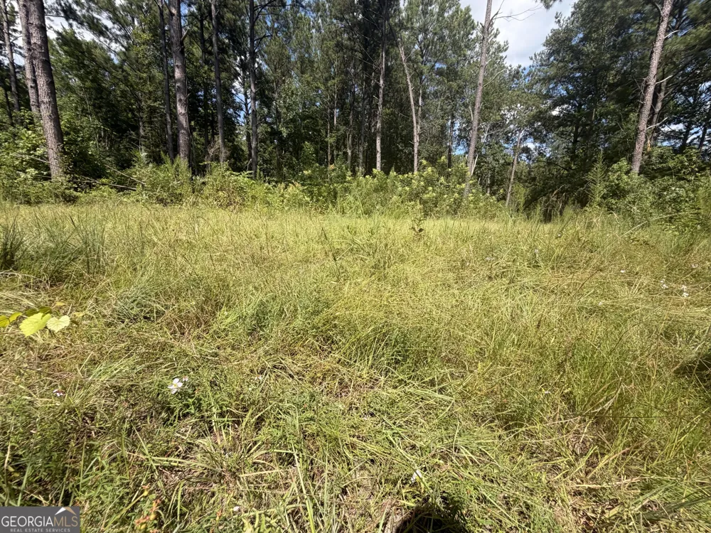 7 Sunhill Grange RD Davisboro, GA 31018