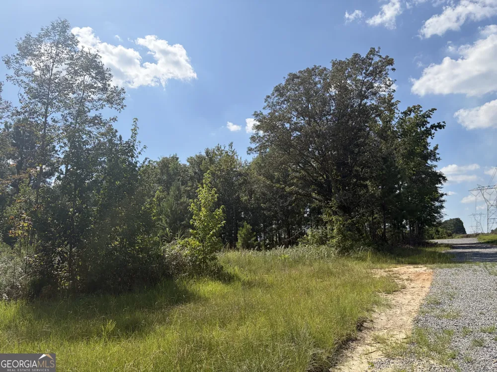 7 Sunhill Grange RD Davisboro, GA 31018