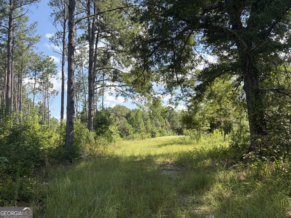7 Sunhill Grange RD Davisboro, GA 31018