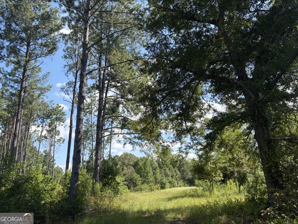 7 Sunhill Grange RD Davisboro, GA 31018